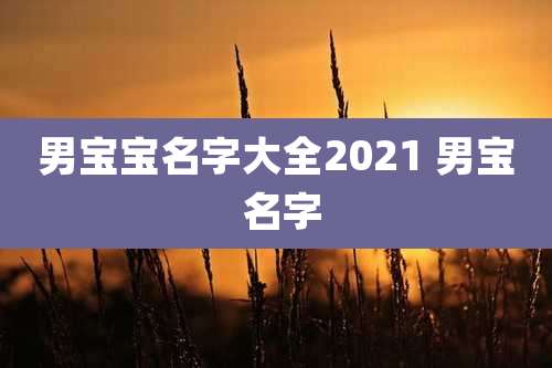男宝宝名字大全2021 男宝 名字