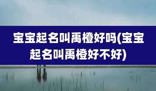 宝宝起名叫禹橙好吗(宝宝起名叫禹橙好不好)