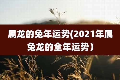 属龙的兔年运势(2021年属兔龙的全年运势）