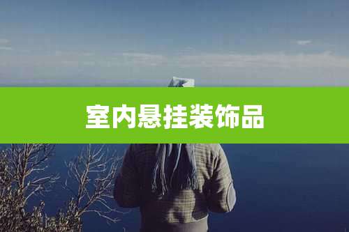 室内悬挂装饰品