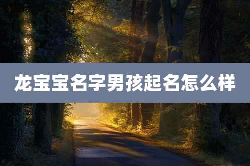 龙宝宝名字男孩起名怎么样