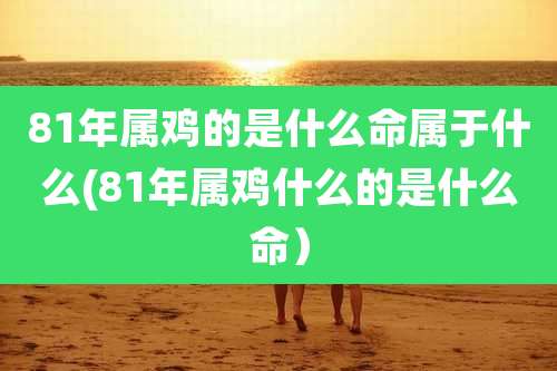 81年属鸡的是什么命属于什么(81年属鸡什么的是什么命)