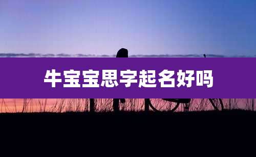 牛宝宝思字起名好吗
