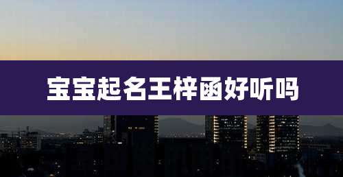 宝宝起名王梓函好听吗