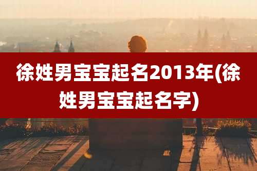 徐姓男宝宝起名2013年(徐姓男宝宝起名字)