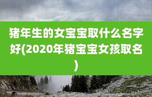 猪年生的女宝宝取什么名字好(2020年猪宝宝女孩取名)