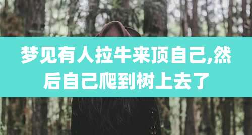 梦见有人拉牛来顶自己,然后自己爬到树上去了