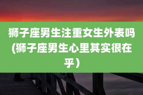 狮子座男生注重女生外表吗(狮子座男生心里其实很在乎）