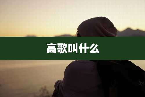 高歌叫什么