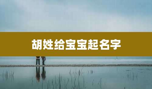 胡姓给宝宝起名字