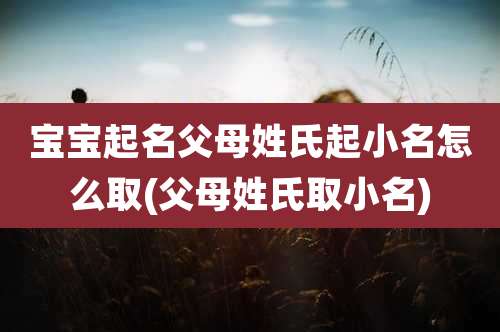 宝宝起名父母姓氏起小名怎么取(父母姓氏取小名)