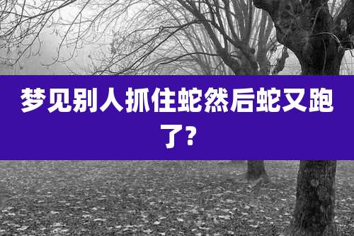 梦见别人抓住蛇然后蛇又跑了?
