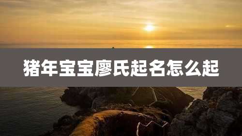 猪年宝宝廖氏起名怎么起