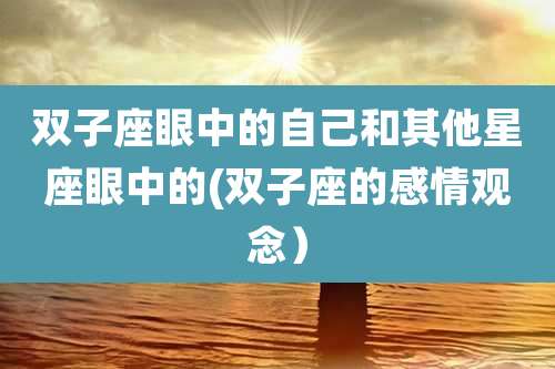 双子座眼中的自己和其他星座眼中的(双子座的感情观念)