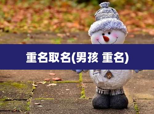 重名取名(男孩 重名)