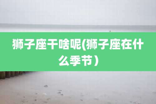 狮子座干啥呢(狮子座在什么季节）