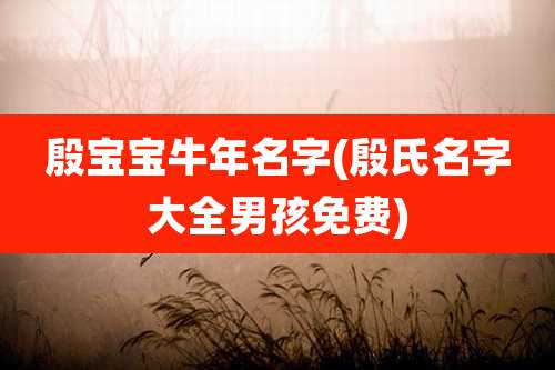 殷宝宝牛年名字(殷氏名字大全男孩免费)
