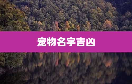 宠物名字吉凶