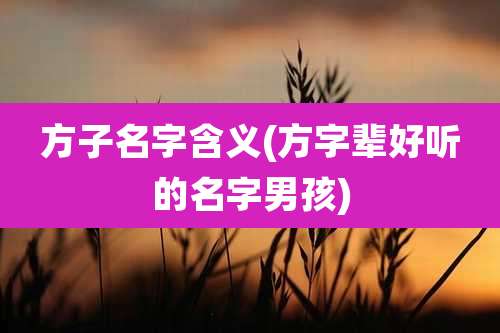 方子名字含义(方字辈好听的名字男孩)