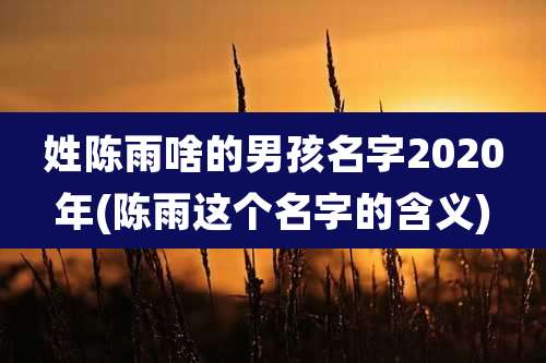 姓陈雨啥的男孩名字2020年(陈雨这个名字的含义)