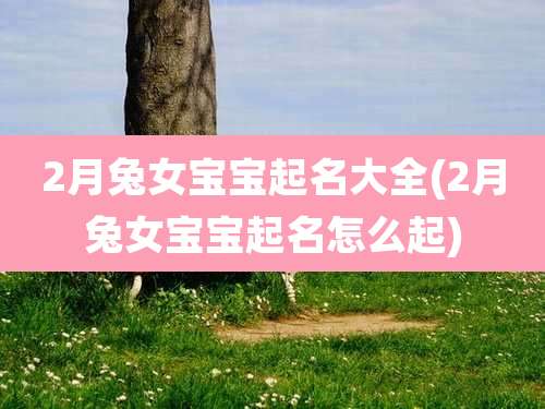 2月兔女宝宝起名大全(2月兔女宝宝起名怎么起)