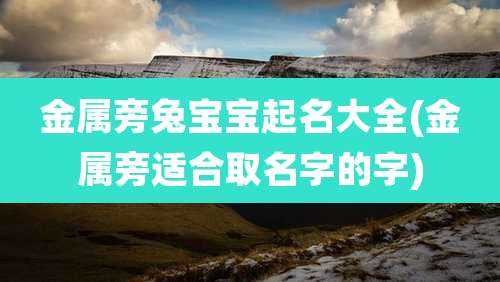 金属旁兔宝宝起名大全(金属旁适合取名字的字)