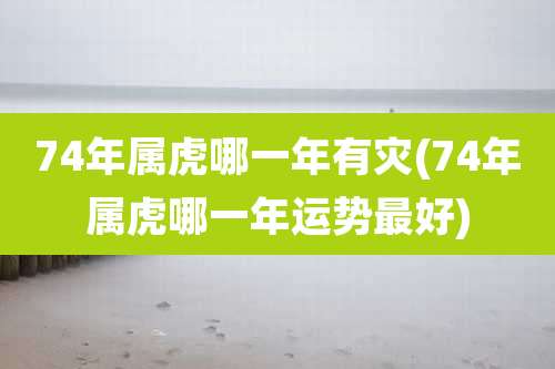 74年属虎哪一年有灾(74年属虎哪一年运势最好)
