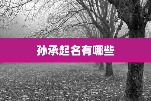 孙承起名有哪些