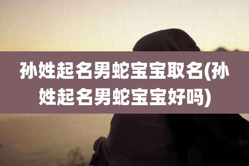 孙姓起名男蛇宝宝取名(孙姓起名男蛇宝宝好吗)