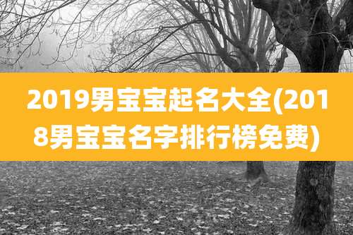 2019男宝宝起名大全(2018男宝宝名字排行榜免费)