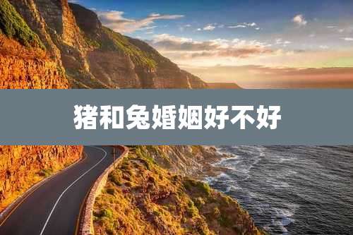 猪和兔婚姻好不好