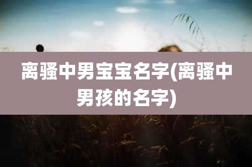 离骚中男宝宝名字(离骚中男孩的名字)