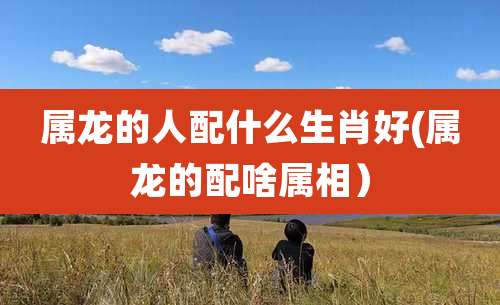 属龙的人配什么生肖好(属龙的配啥属相)