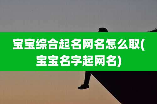 宝宝综合起名网名怎么取(宝宝名字起网名)
