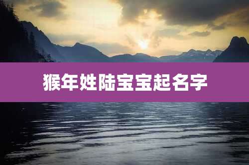 猴年姓陆宝宝起名字