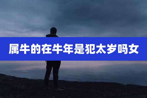属牛的在牛年是犯太岁吗女