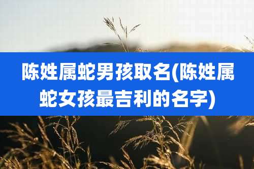 陈姓属蛇男孩取名(陈姓属蛇女孩最吉利的名字)