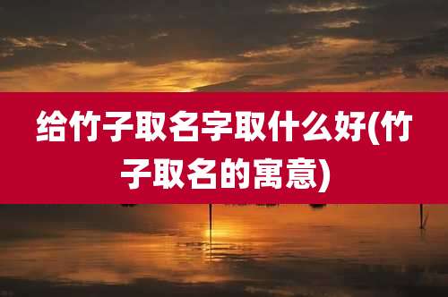 给竹子取名字取什么好(竹子取名的寓意)
