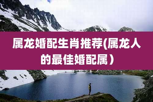 属龙婚配生肖推荐(属龙人的最佳婚配属)