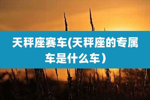 天秤座赛车(天秤座的专属车是什么车)