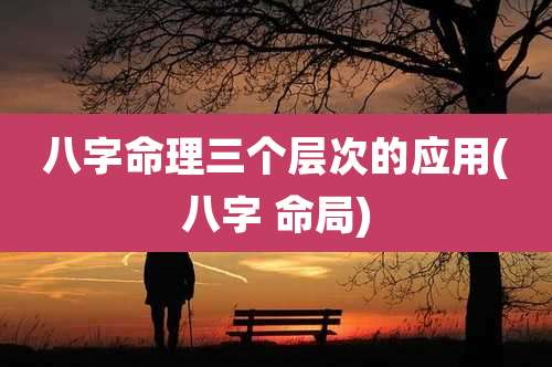 八字命理三个层次的应用(八字 命局)
