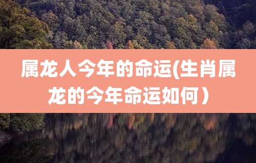 属龙人今年的命运(生肖属龙的今年命运如何）