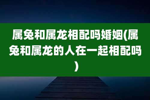 属兔和属龙相配吗婚姻(属兔和属龙的人在一起相配吗）