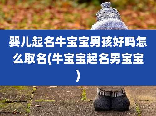婴儿起名牛宝宝男孩好吗怎么取名(牛宝宝起名男宝宝)