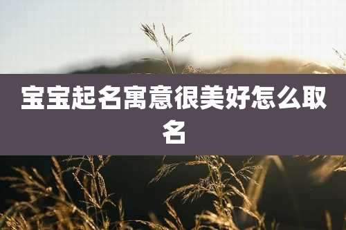 宝宝起名寓意很美好怎么取名