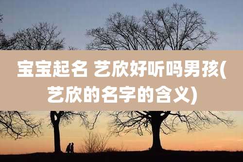 宝宝起名 艺欣好听吗男孩(艺欣的名字的含义)