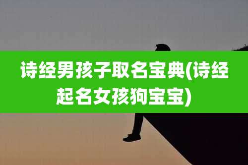 诗经男孩子取名宝典(诗经起名女孩狗宝宝)