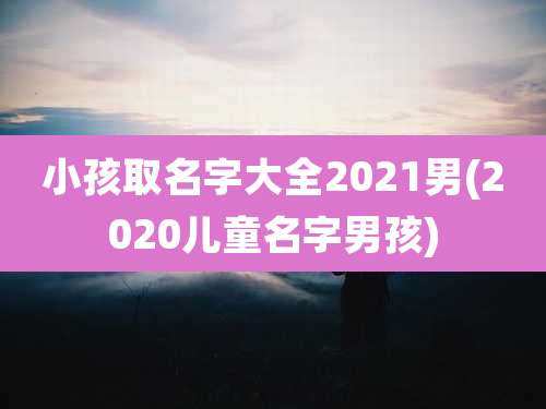 小孩取名字大全2021男(2020儿童名字男孩)