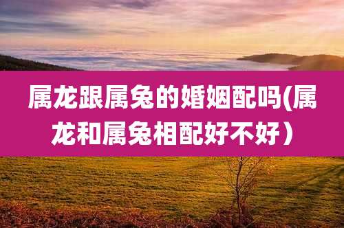 属龙跟属兔的婚姻配吗(属龙和属兔相配好不好）