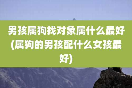 男孩属狗找对象属什么最好(属狗的男孩配什么女孩最好)